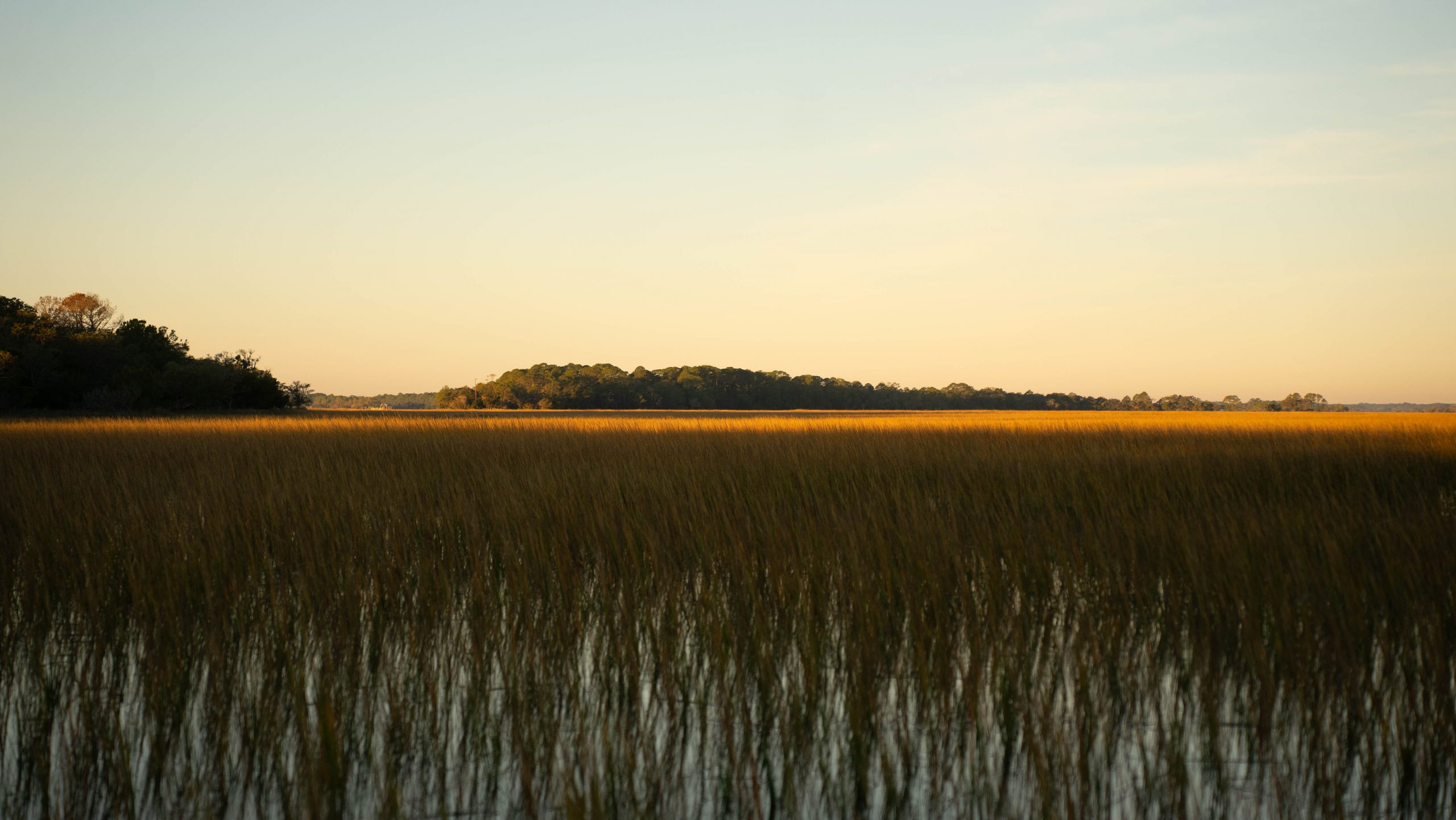 IMG_4940 IMG_4940